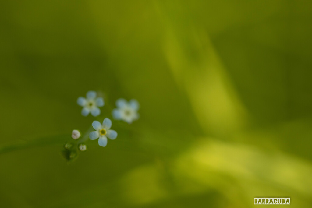 近くの公園にて⑥