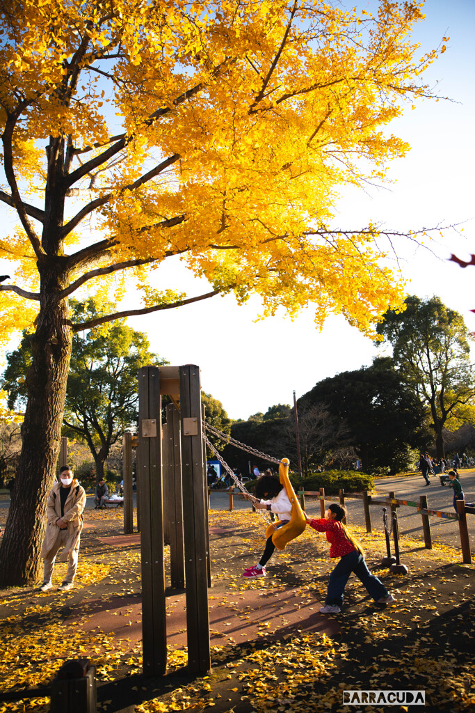 昭和記念公園⑤