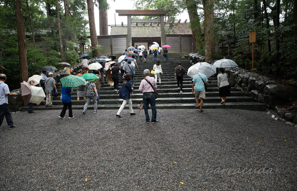 伊勢・熊野・高野山旅行シリーズ