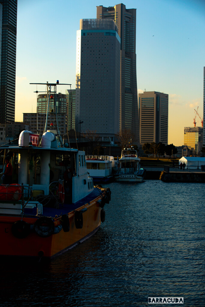 ハマの港の夕暮れ