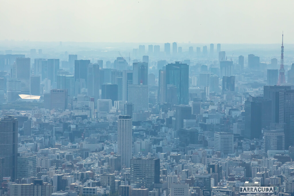 初めてのスカイツリー②