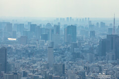 初めてのスカイツリー②