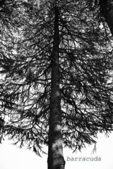 駒沢散策残り①