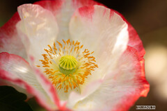 木場公園にて⑤