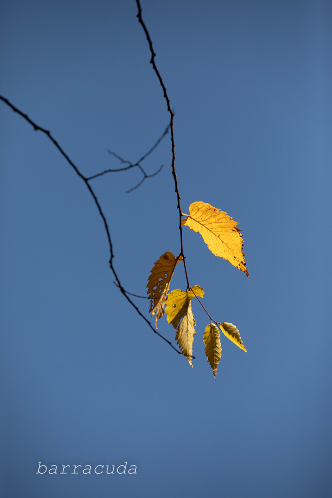 駒沢公園散策【前半】⑥