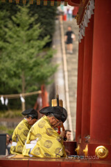 鎌倉・鶴岡八幡宮