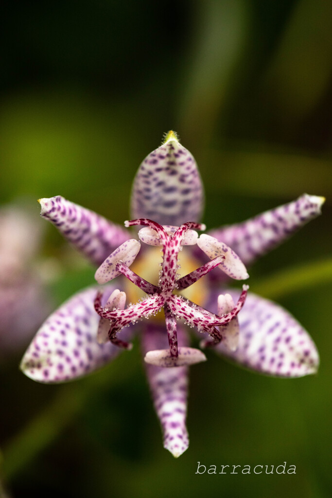 2019年10月こども植物園⑦