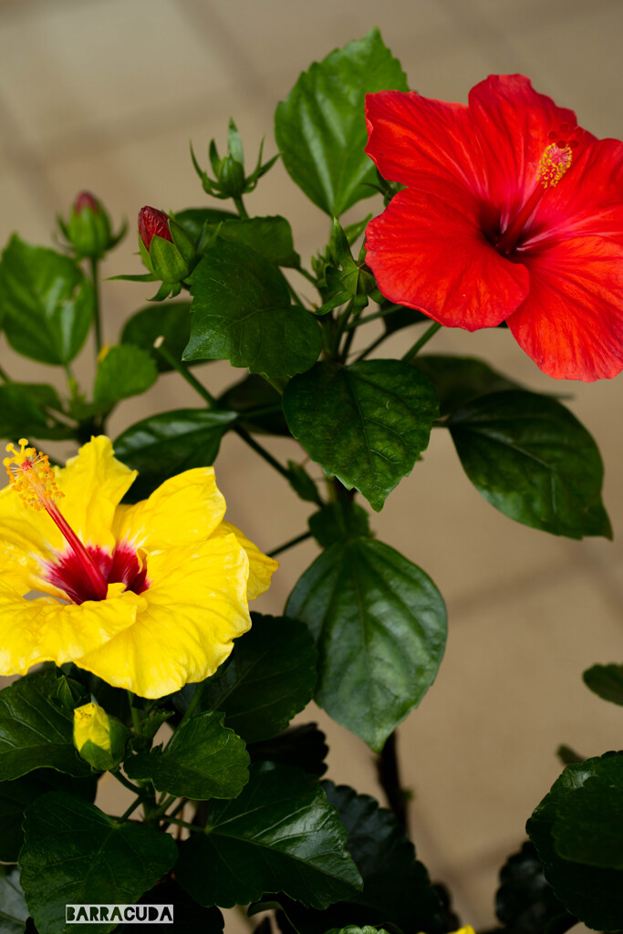 長久保公園にて⑥