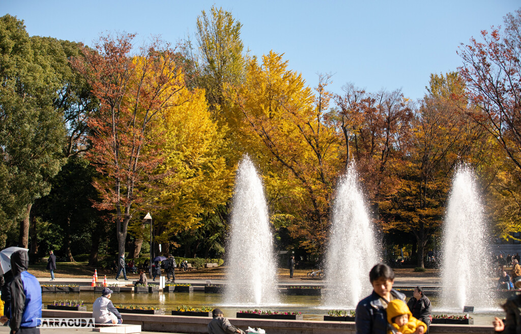 上野公園散策（第一弾）④