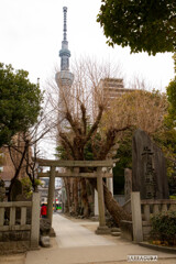 言問橋と牛島神社①