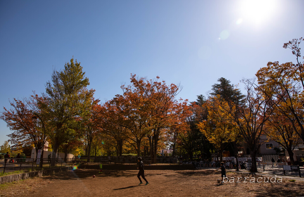 駒沢公園散策【前半】①