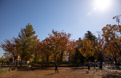 駒沢公園散策【前半】①