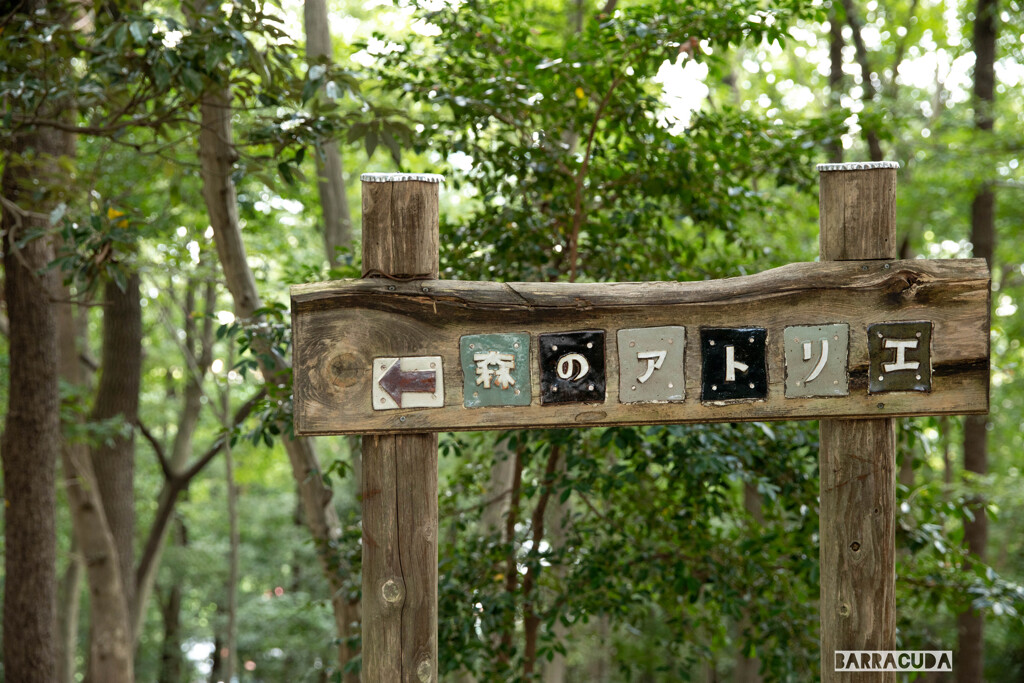 七沢森林公園②