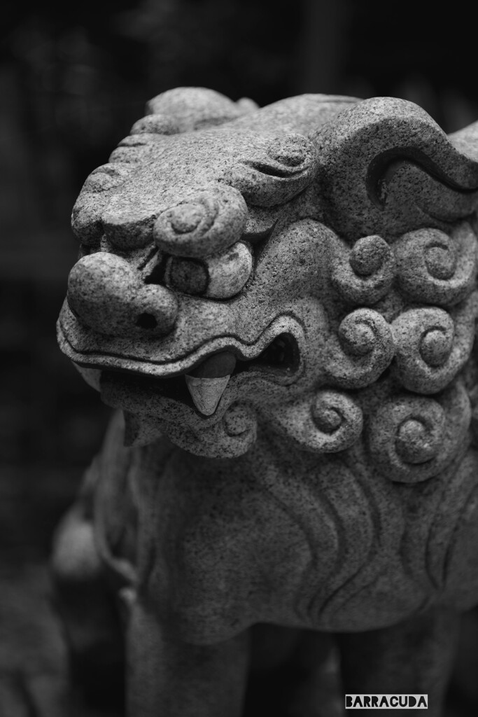 夏空に魅せられて⑤