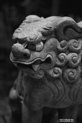 夏空に魅せられて⑤