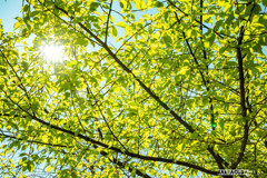 芝公園番外編①