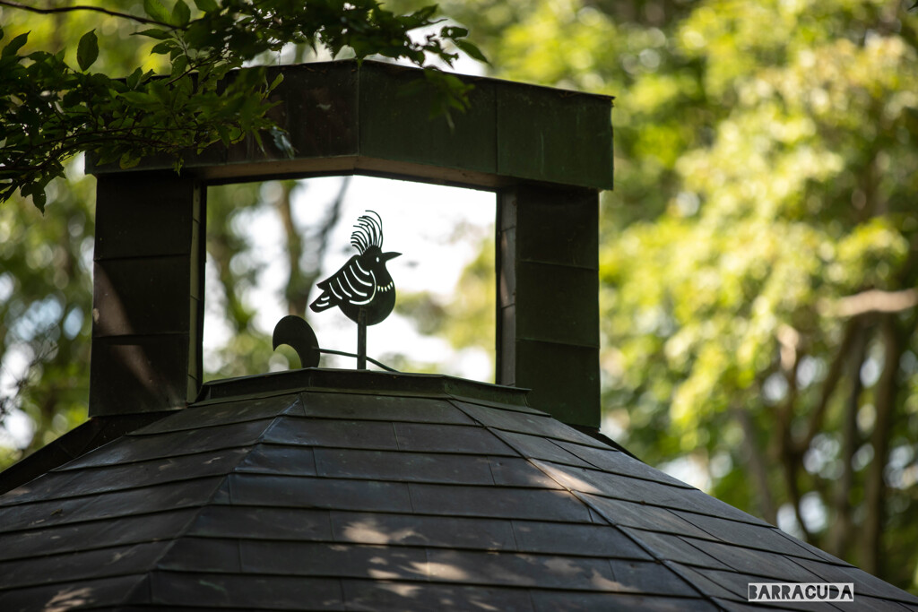 七沢森林公園④