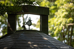 七沢森林公園④