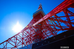 東京タワーシリーズ①