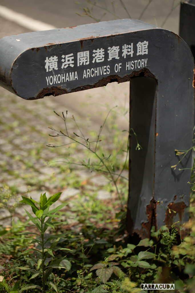 丘公園から馬車道へ①