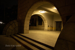 丘公園からの帰り道⑩