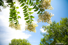 夏空に魅せられて④