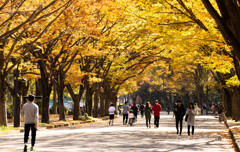駒沢公園散策【前半】④