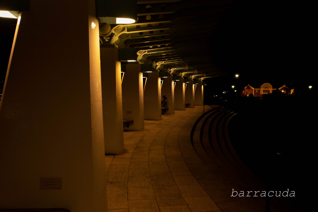丘公園からの帰り道①