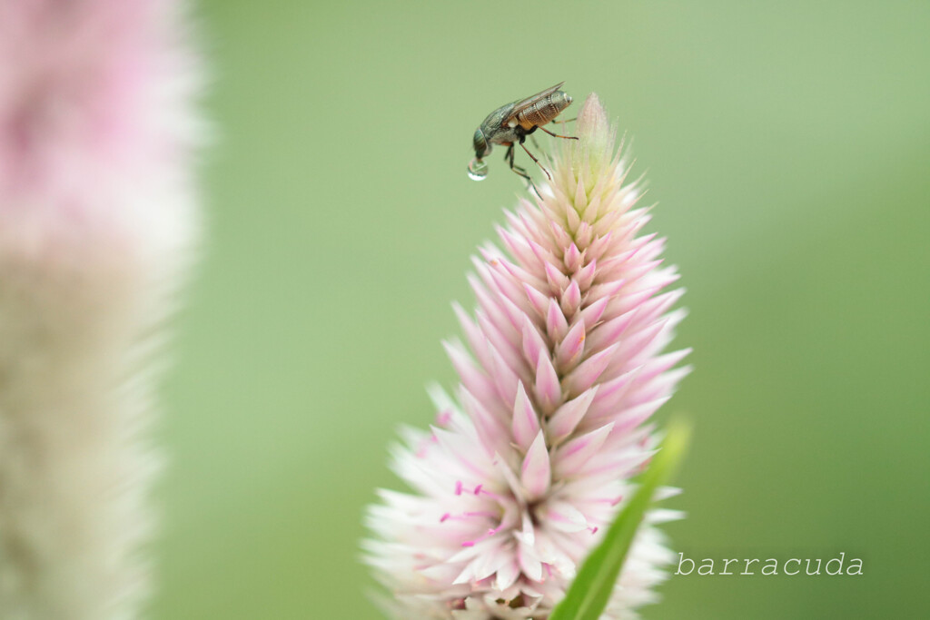 (蔵出し）3年前の