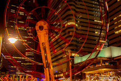 絶叫～！( ﾟДﾟ)