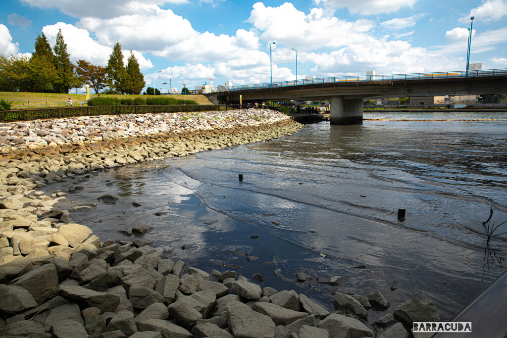 隅田川②