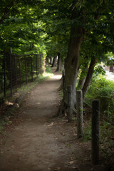 玉川上水緑道シリーズ