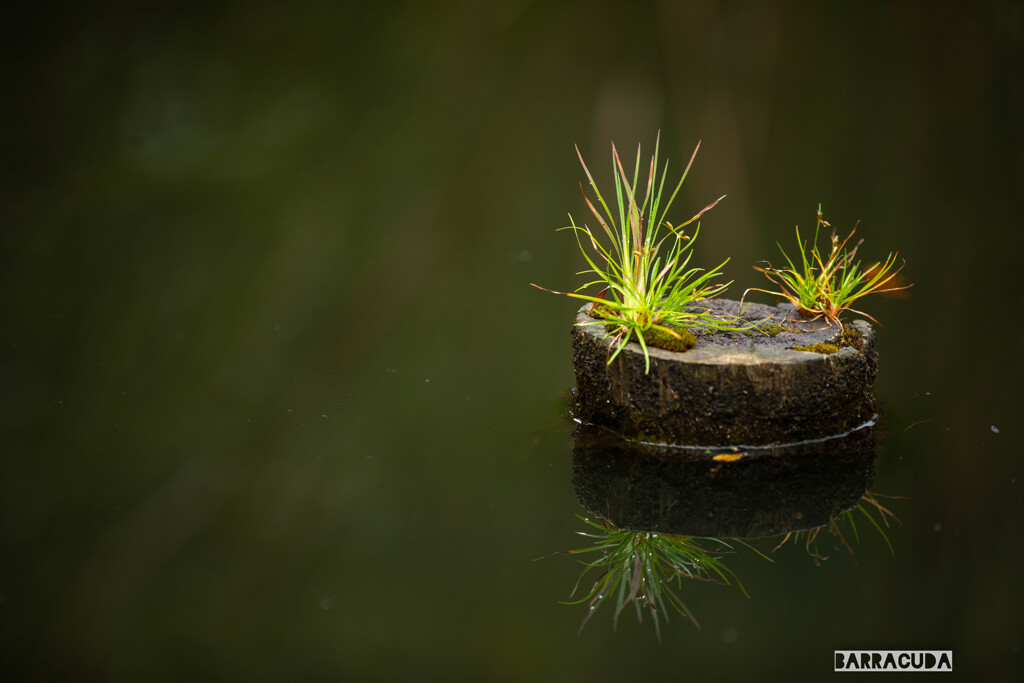 久良岐公園にて⑤