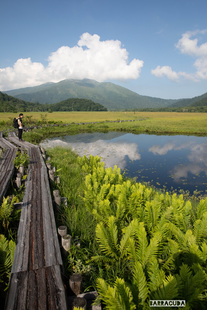 尾瀬⑦