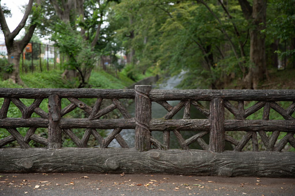 玉川上水緑道シリーズ5