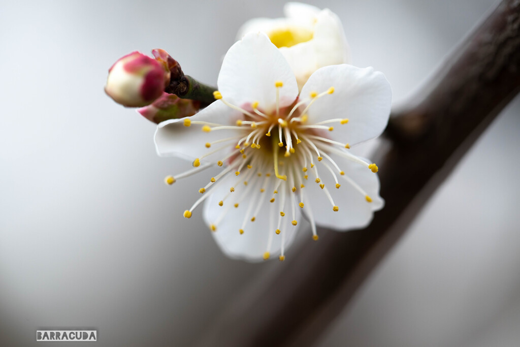 赤塚溜池公園①