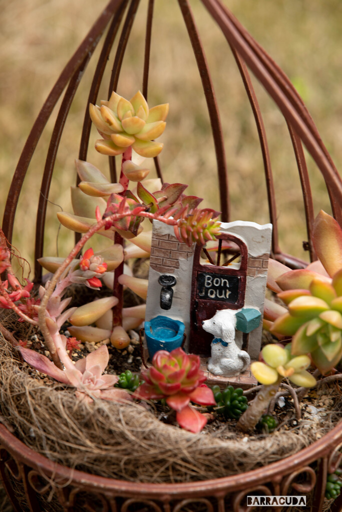 江の島スモールワールド！⑥