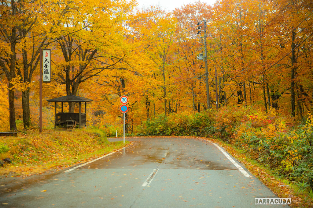 乳頭温泉郷の紅葉①