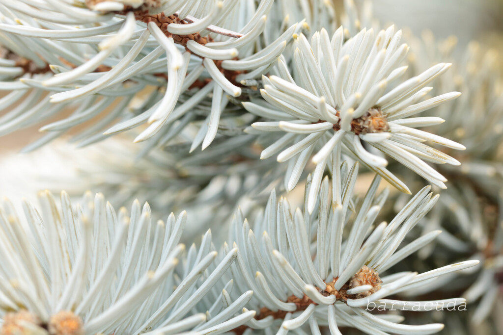 2016年2月大船にて①