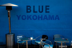 ブルーライトよこはま