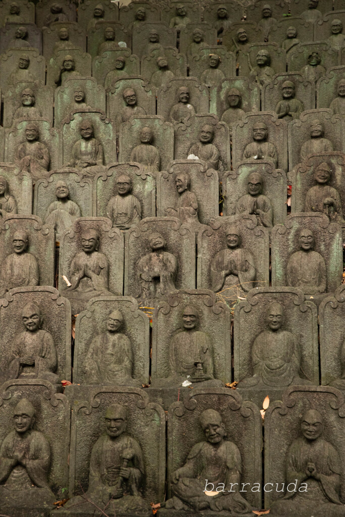 目黒・大円寺①