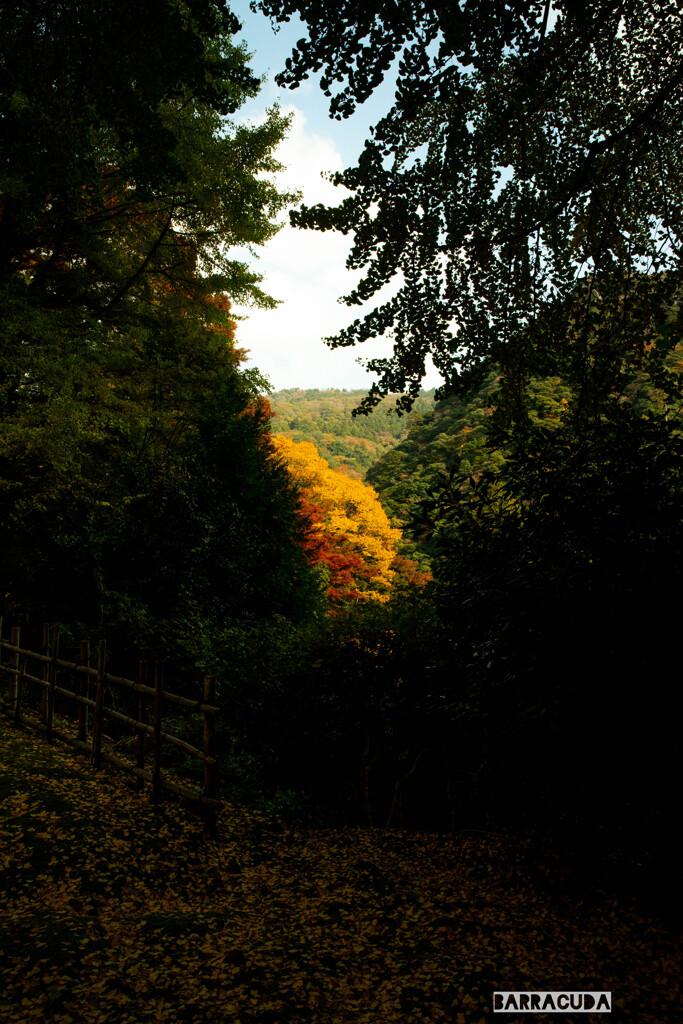 出雲旅行（紅葉編）②