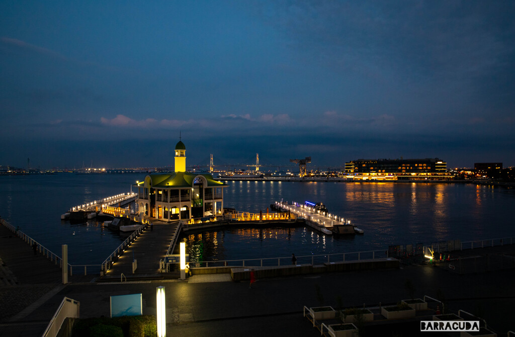 横浜遊覧飛行＋　③