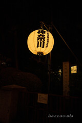丘公園からの帰り道⑨