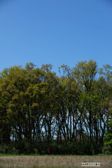 散歩（赤い人）