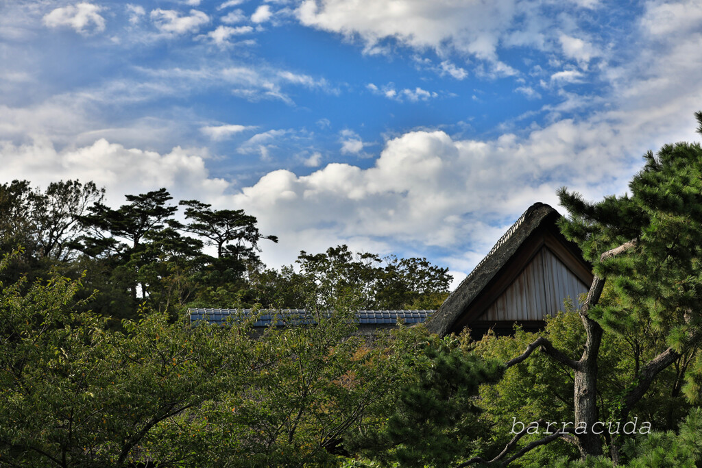 三渓園　風景