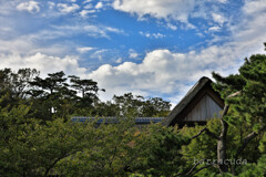 三渓園　風景