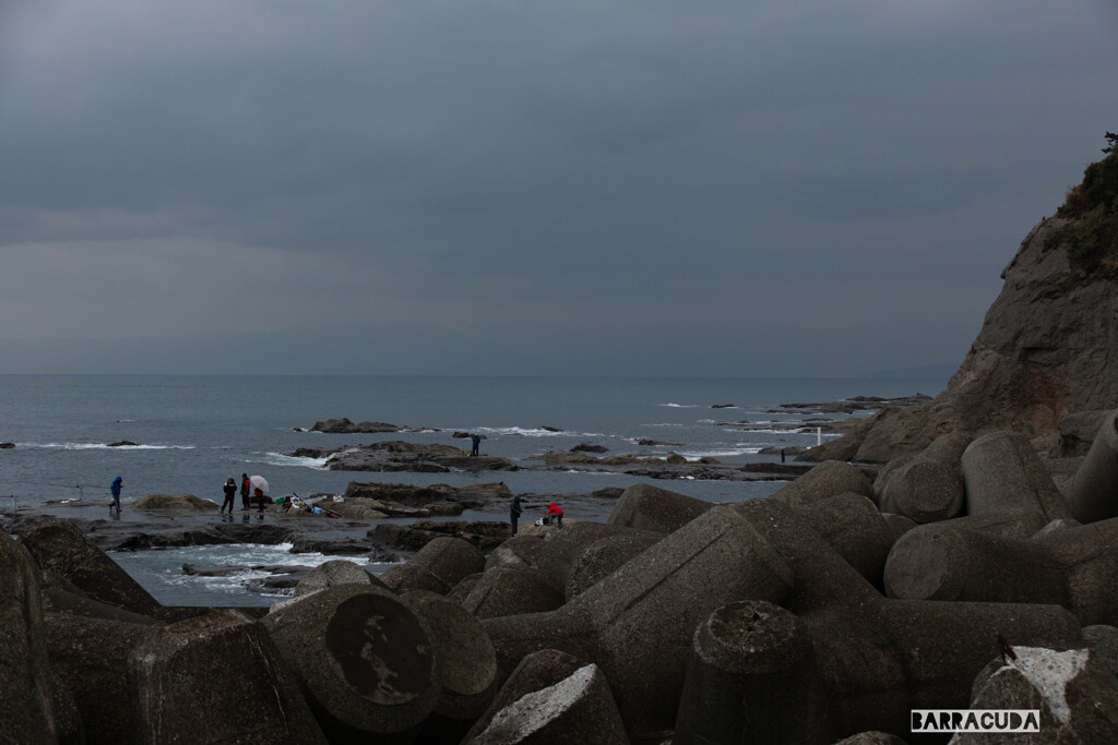 江の島ヨットハーバー⑩