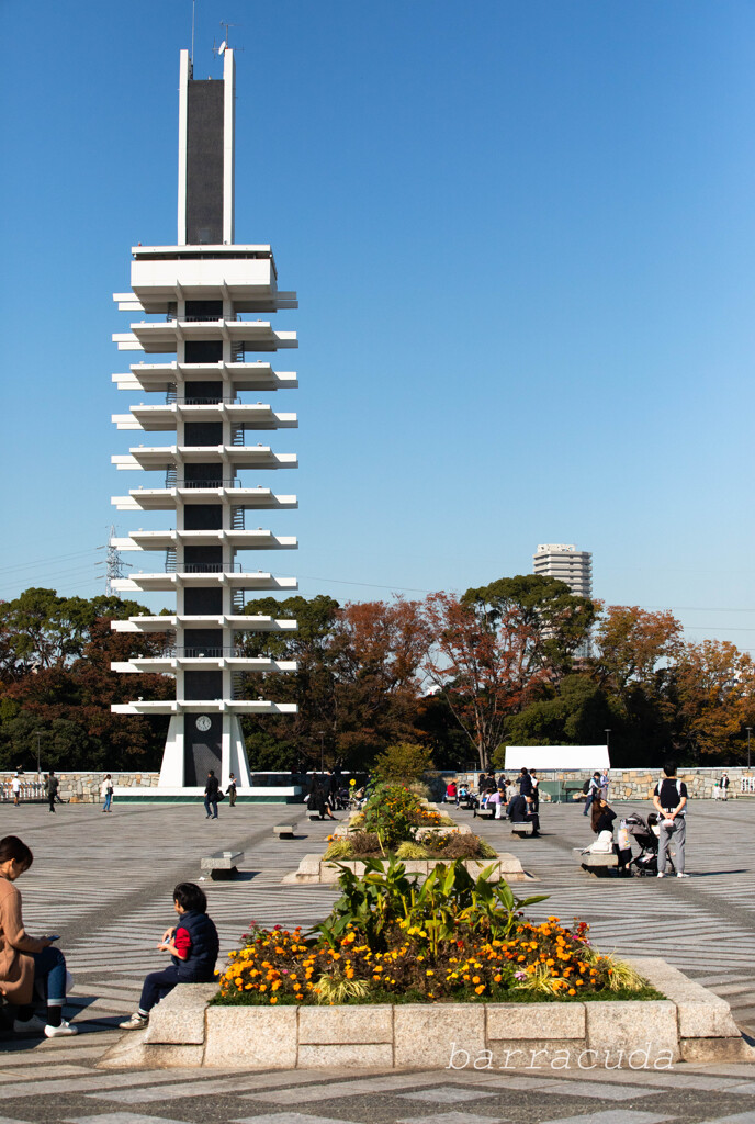 駒沢公園散策【後半】①