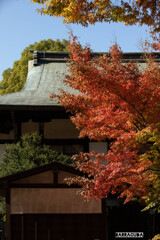 上野公園散策（第一弾）①